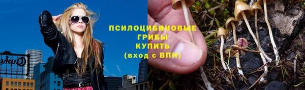 а пвп мука Чердынь