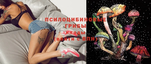 бутират Инсар