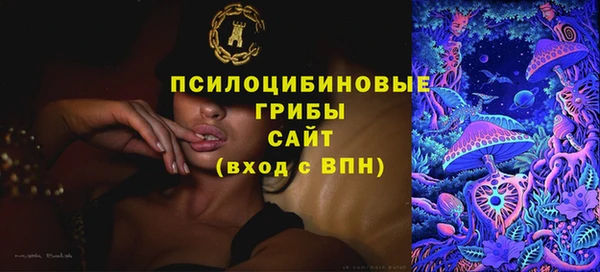 стафф Зеленокумск