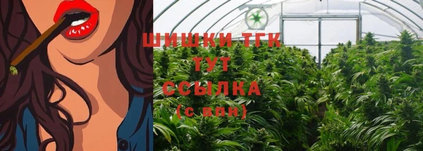 таблы Инта