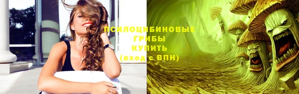стафф Зеленокумск